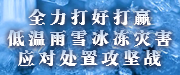 全力打好打贏低溫雨雪冰凍災(zāi)害應(yīng)對(duì)處置攻堅(jiān)戰(zhàn)